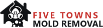 Five Towns Mold Removal